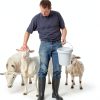 DOITOOL White Plastic 3 Gallon Bucket with Lid Handle-6