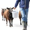 DOITOOL White Plastic 3 Gallon Bucket with Lid Handle-4